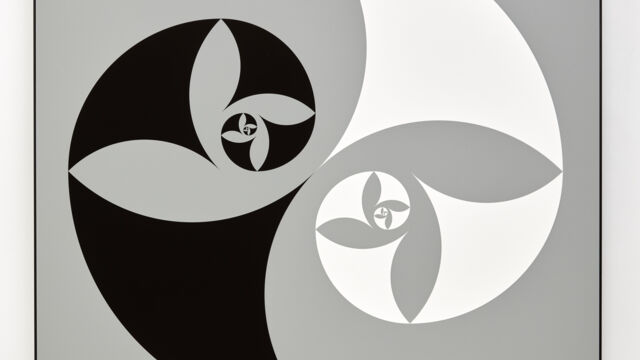 GCA Session Ladder-Curved-Kites 20240516_00062_JPEG-FULL