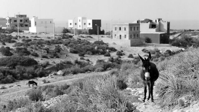 neuigkeiten-2019-12-01_fotobuch-marokko_1©maykwendt