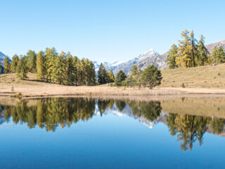 In Mitten einer Hochmoorebene liegt der malerische See oberhalb von Tarasp